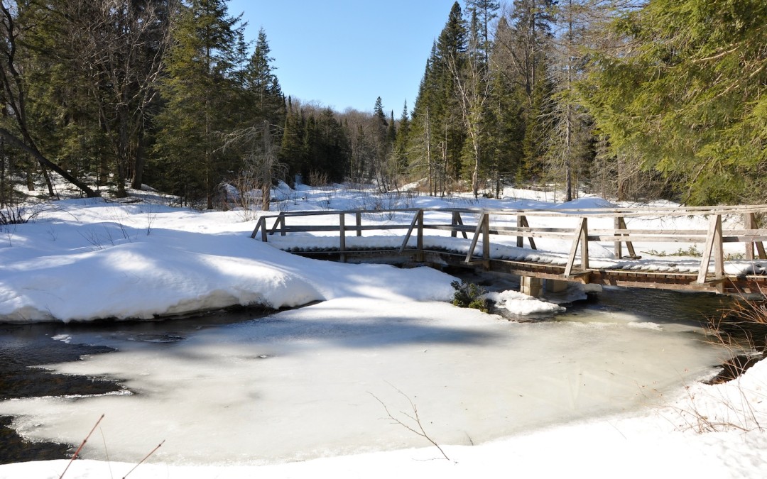 Beetle Lake Trail