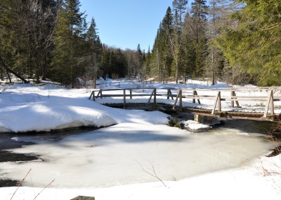 Beetle Lake Trail