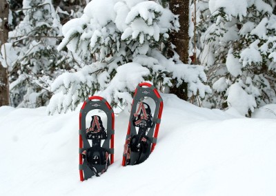 Snowshoeing