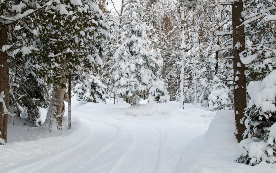 Cross-Country Skiing