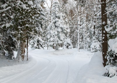 Cross-Country Skiing