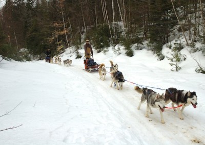 Dog-Sledding