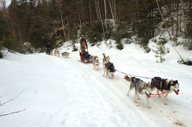 Dog-Sledding